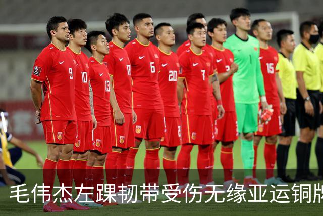 毛伟杰左踝韧带受伤无缘亚运铜牌争夺战
